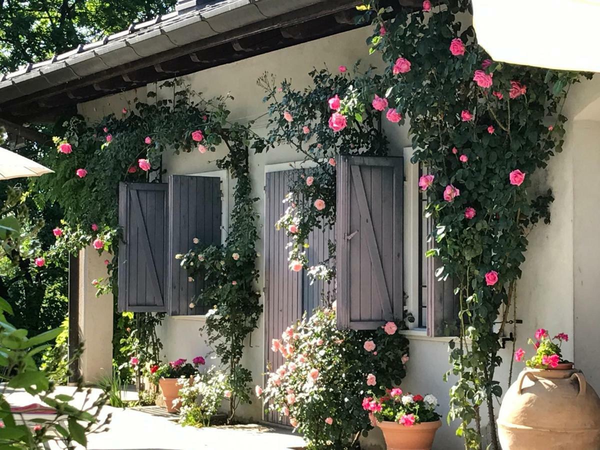 Le Querce Bed and Breakfast Tricesimo Eksteriør billede